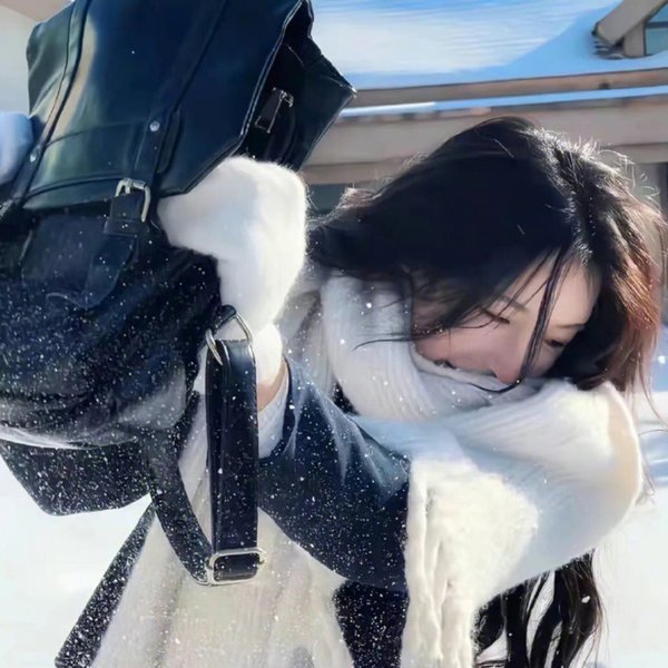 猛虎3海报